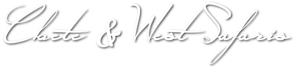 Cloete & West Safaris